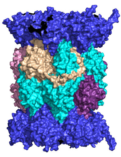TÜRKER LAB